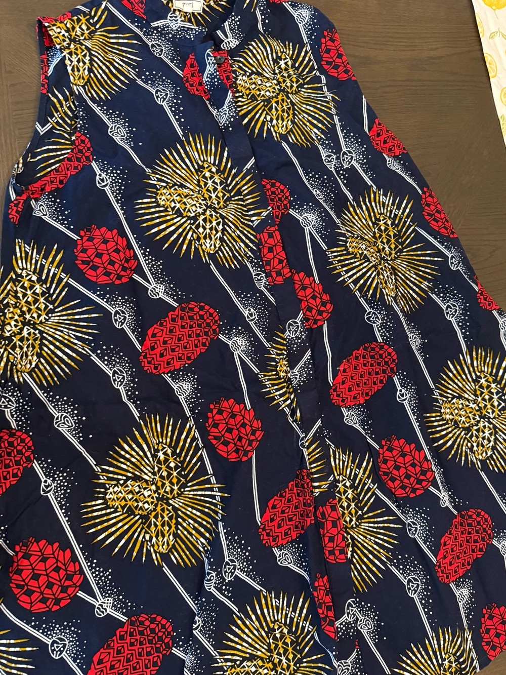 Women's Zuri Navy Red & Gold Printed A-Line dress